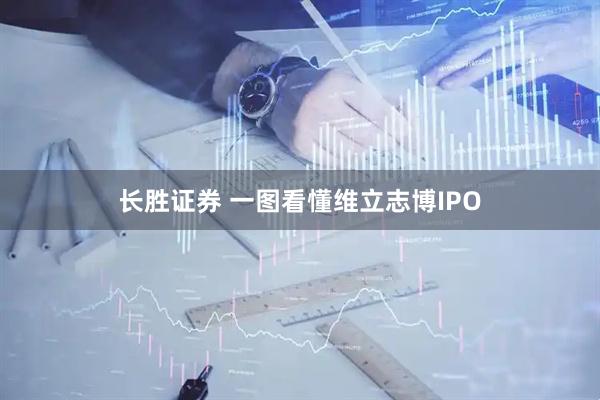 长胜证券 一图看懂维立志博IPO
