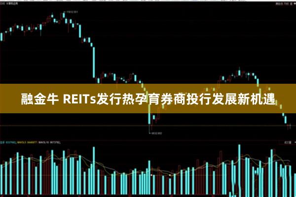融金牛 REITs发行热孕育券商投行发展新机遇