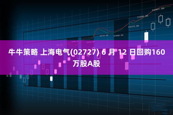 牛牛策略 上海电气(02727) 6 月 12 日回购160万股A股